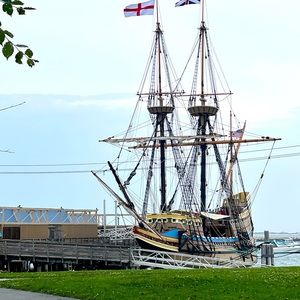 Meet your Posher, Dinah